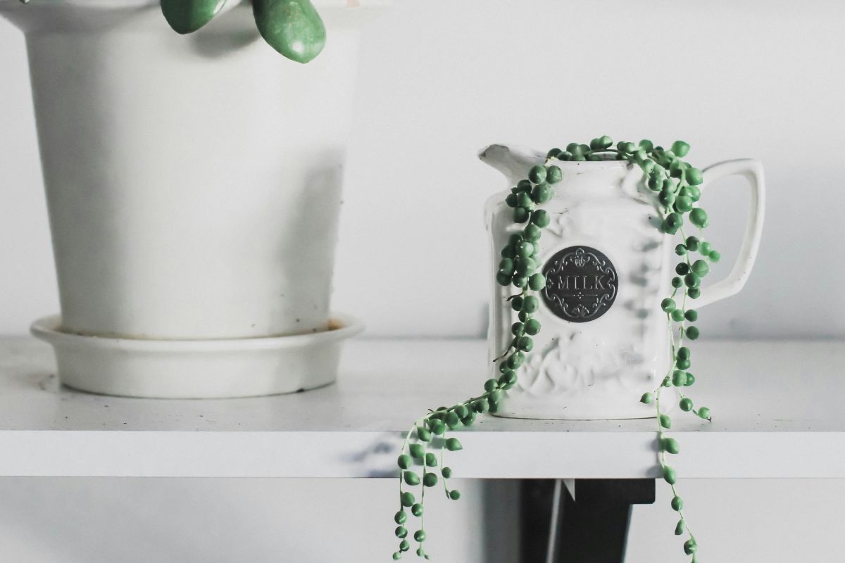 String of Pearls image 3